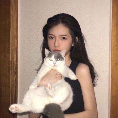 吞食天地融合手游下载
